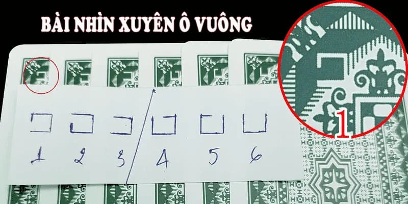 Cách nhận biết lá bài từ mặt sau các đặc điểm cơ bản