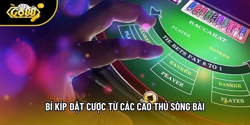 Bí kíp đặt cược từ các cao thủ sòng bài